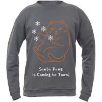 Мужская толстовка Soling Santa paws Grey, s.S (Print-865)