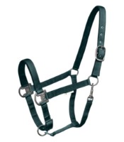 Недоуздок Waldhausen Gloomy Headstall Fir Green (5048364-WB)