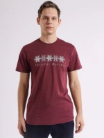 Мужская футболка Bumbacel MT5622K_1529B2_S6 Red, s.S