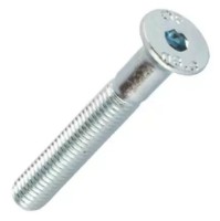 Șuruburile Reyher 017A10035