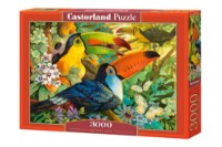 Puzzle Castorland 3000 Interlude (C-300433)