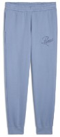 Женские спортивные штаны Puma Ess Script Fl Cl Cool Blue, s.S