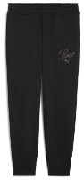 Женские спортивные штаны Puma Ess Script Fl Cl Puma Black, s.M