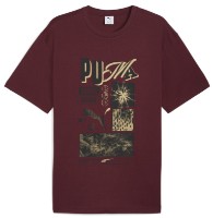 Мужская футболка Puma Graphic Sportswear Ruby Shimmer, s.M