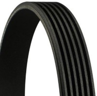 Curea trapezoidală Continental 6PK906 imaginea #4 — magazin online Desire.md