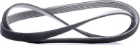 Curea trapezoidală Continental 7DPK1884 imaginea #3 — magazin online Desire.md