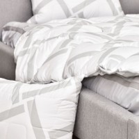 Set plapumă cu pernă MobiCasa Elegantly 140x210 White/Gray