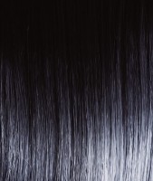 Vopsea pentru păr Tassel Bright Color SM 1.1 100ml