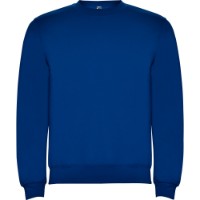 Мужская толстовка Roly Clasica 1070 Royal Blue, s.S