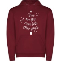 Мужская толстовка Soling Nice list Burgundy, s.L (Print-087)