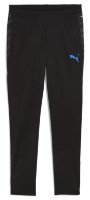 Мужские спортивные штаны Puma Individualcup Training Puma Black/White/Ultra Blue, s.XL (66025007)