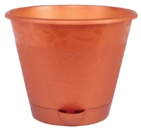 Ghiveci Alternativa Мадера (М1585)