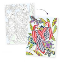Раскраска для детей Djeco Birds DJ08691 фото №2 — интернет-магазин Desire.md