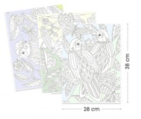 Раскраска для детей Djeco Birds DJ08691 фото №3 — интернет-магазин Desire.md