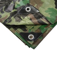 Тент Bradas PLCF903/4