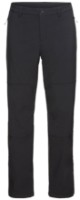 Pantaloni pentru bărbați Jack Wolfskin Trek Terrain M Black, s.58