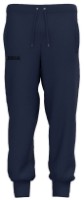 Мужские спортивные штаны Joma 103765.345 Navy, s.L