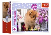 Puzzle Trefl Lovely Animals 54 Mini (19735)