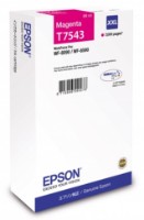 Cartuș Epson T754340
