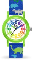 Наручные часы Ice-Watch 024501