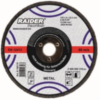 Disc de tăiere Raider 160124