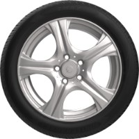 Шина Zmax Winterhawke I 255/40 R20 101V фото №2 — интернет-магазин Desire.md