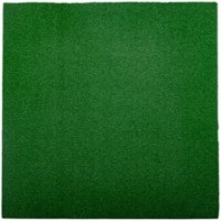 Covoraș pentru echipament de antrenament Insportline Grasteko (28590)