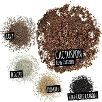 Substrat pentru flori Lechuza Cactuspon 3L imaginea #3 — magazin online Desire.md