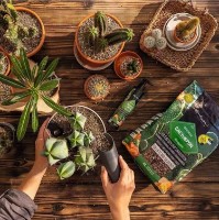 Substrat pentru flori Lechuza Cactuspon 3L imaginea #2 — magazin online Desire.md