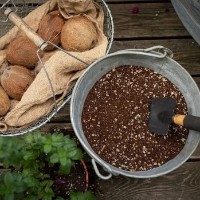 Substrat pentru flori Lechuza Veggiepon 6L imaginea #4 — magazin online Desire.md