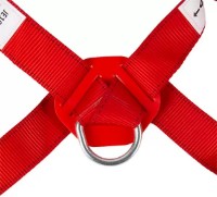 Пояс страховочный Profmet 377106 фото №2 — интернет-магазин Desire.md