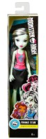 Кукла Mattel Ghoul Spirit (DNV65)