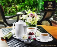 Заварочный чайник Wilmax WL-994005