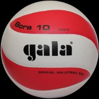 Мяч волейбольный Gala Bora BV5671S