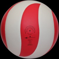 Мяч волейбольный Gala Bora BV5671S