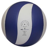 Мяч волейбольный Gala Mistral BV 5661S