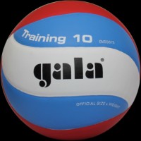 Мяч волейбольный Gala Training BV5561S