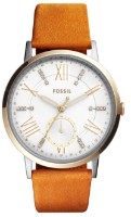 Наручные часы Fossil ES4161