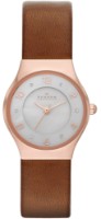 Наручные часы Skagen SKW2210 фото №1 — интернет-магазин Desire.md