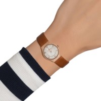 Наручные часы Skagen SKW2210 фото №3 — интернет-магазин Desire.md