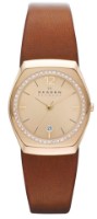 Ceas de mână Skagen SKW2258