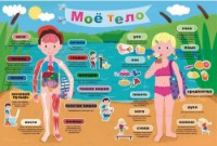 Пазл Trefl 40 My Body RU (15528)