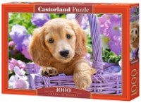 Пазл Castorland 1000 Puppy In Basket (C-103799)
