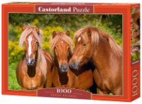 Puzzle Castorland 1000 Horse Friends (C-103959)