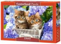 Puzzle Castorland 1500 Cute Kittens (C-151561)