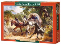 Puzzle Castorland 3000 (C-300075)