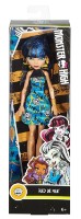 Păpușa Mattel Monster High (DTD90)