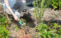 Инвентарь для уборки Gardena Weeding Trowel Manual (8935-20)