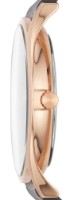 Наручные часы Skagen SKW6395 фото №2 — интернет-магазин Desire.md