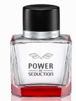 Парфюм для него Antonio Banderas Power of Seduction EDT 100ml